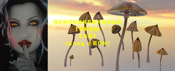 каннабис Алексеевка