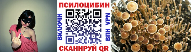 Галлюциногенные грибы мицелий  где найти наркотики  Калязин 